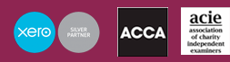 Xero Certified Accountant